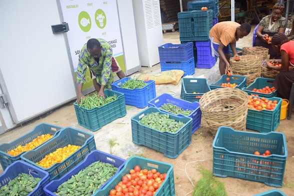 Nigeria: How Solar Powered Cold Storage Eliminates Food Loss and Bolsters Resilience